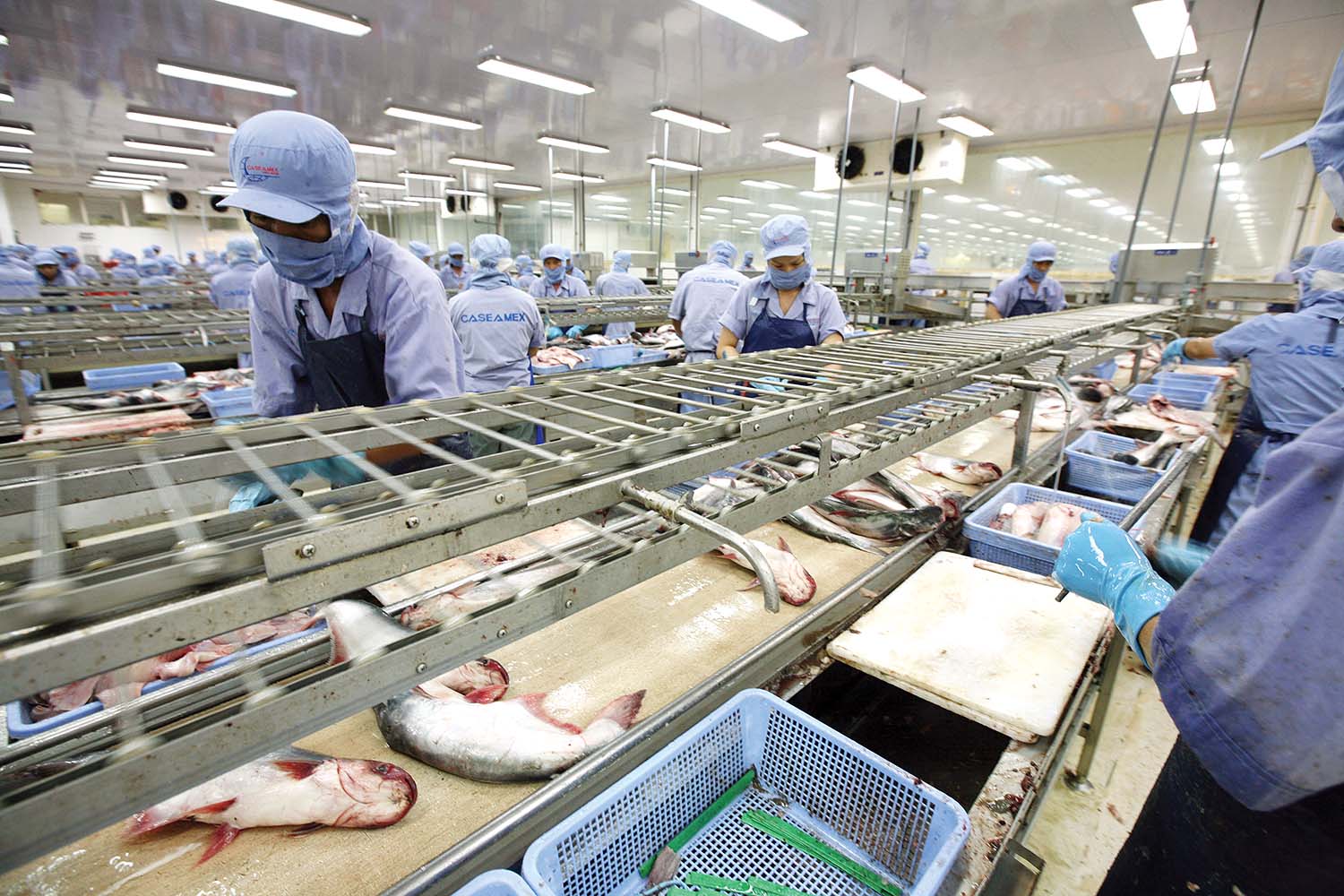 Rebond des exportations de produits aquatiques à la première quinzaine de février