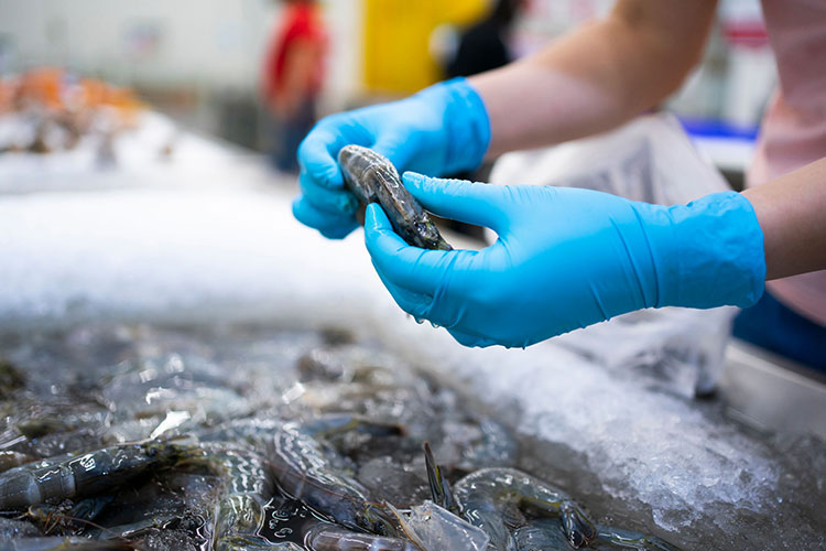 Opportunités d exportation de produits aquatiques vers la Norvège