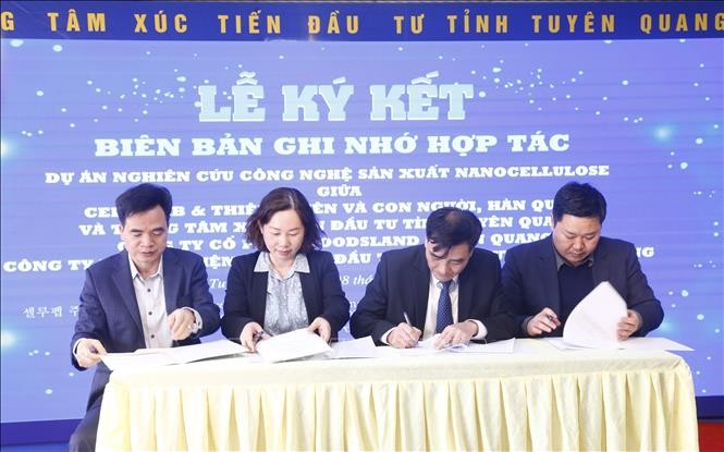 Tuyen Quang développera une technologie de production de nanocellulose