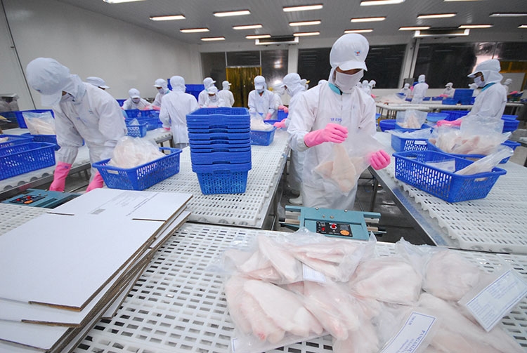 Forte hausse des exportations de pangasius vers le Royaume-Uni