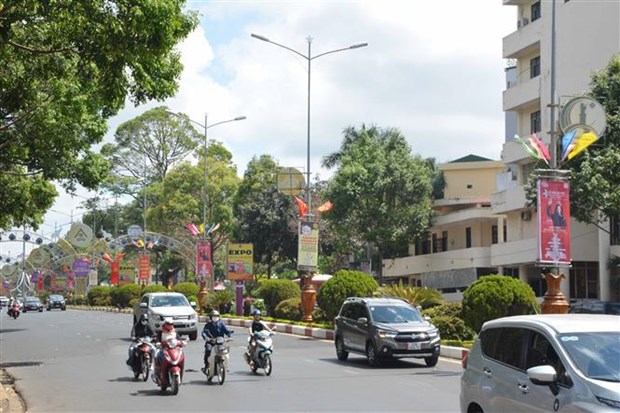 Environ 50 000 visiteurs attendus au 8e Festival du café de Buon Ma Thuot