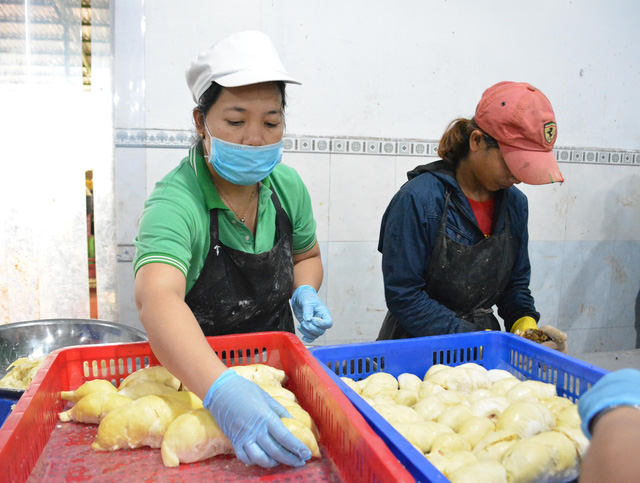 La filière fruitière et maraîchère vise 4 milliards de dollars d exportations cette année