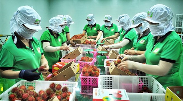 Le Vietnam et la Chine promeuvent les échanges agricoles et aquacoles