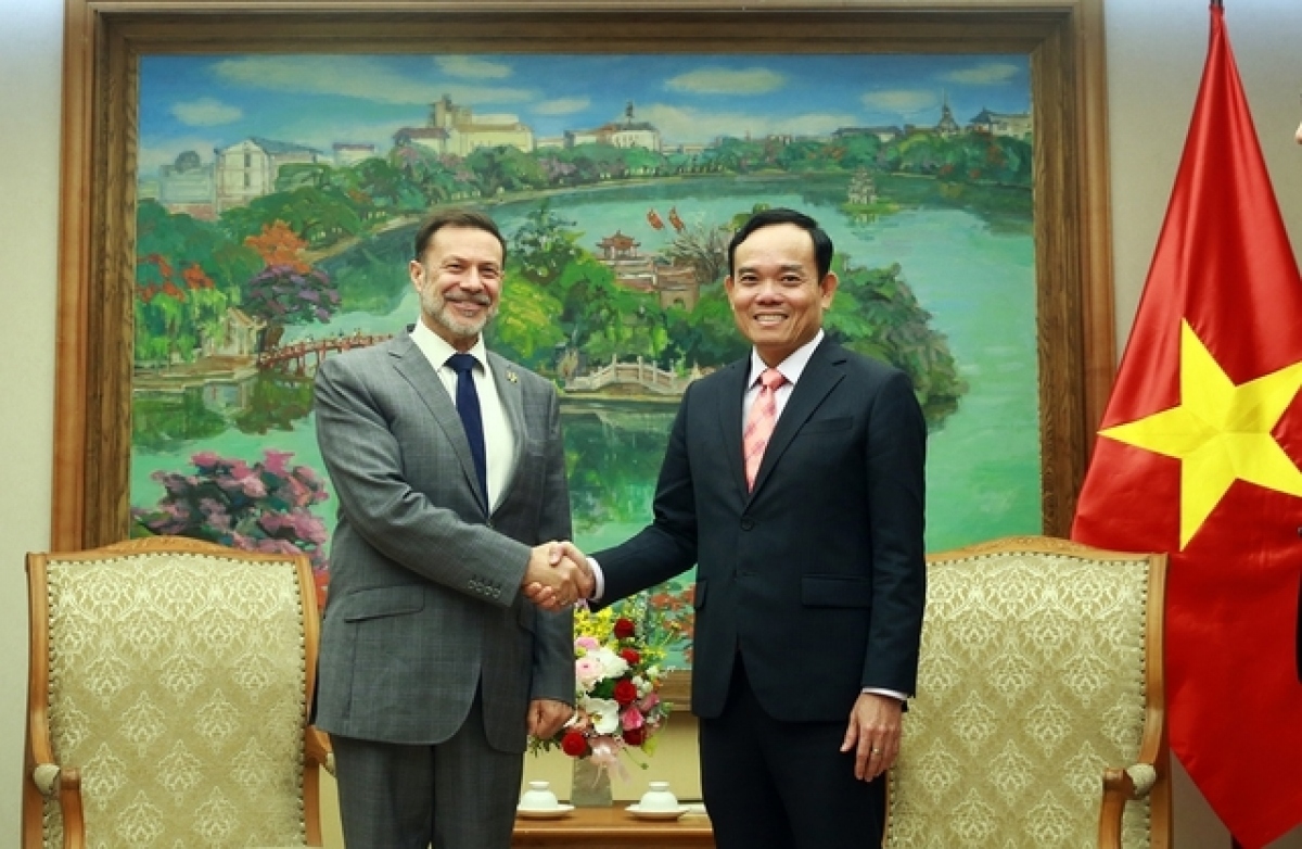 Le vice-PM Tran Luu Quang demande de bien organiser la célébration des relations Vietnam-Australie