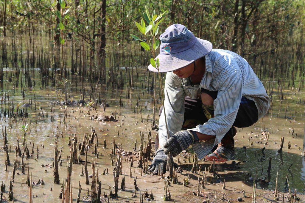 Lancement de deux rapports sur les impacts du changement climatique et l’adaptation du Vietnam
