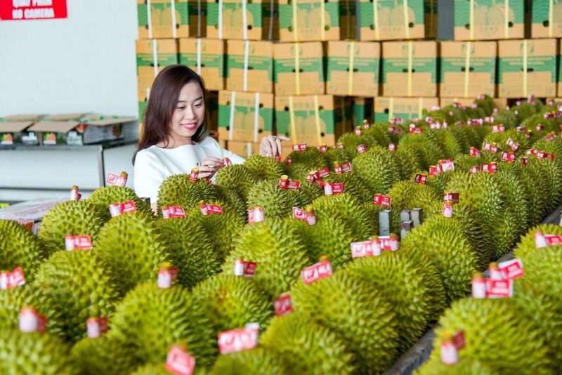 Vietnam-Chine déficit commercial de 6,5 milliards de dollars pour le Vietnam