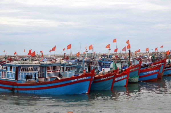 Thai Binh s’efforce de faire retirer le « carton jaune » imposé par la CE