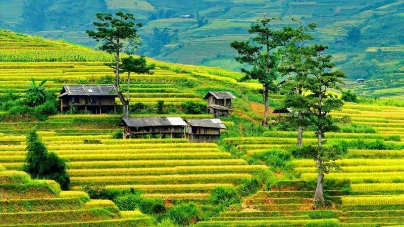 Publication de la Stratégie de marketing du tourisme au Vietnam jusqu en 2030