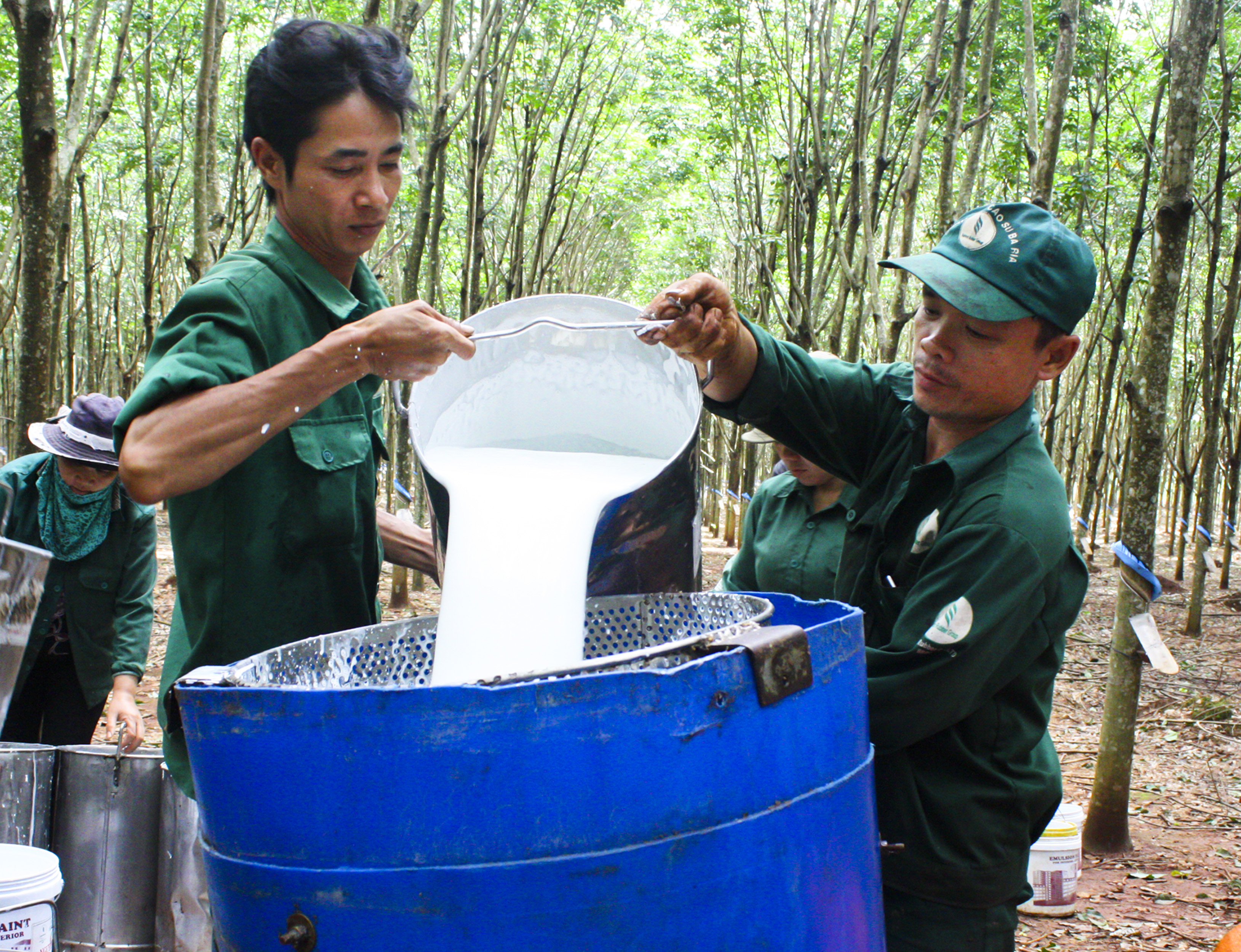 Le Vietnam, 4e exportateur de caoutchouc en République de Corée