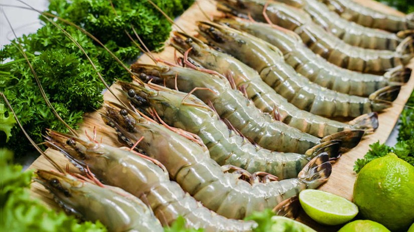 Le Vietnam, premier fournisseur de crevettes en Corée du Sud