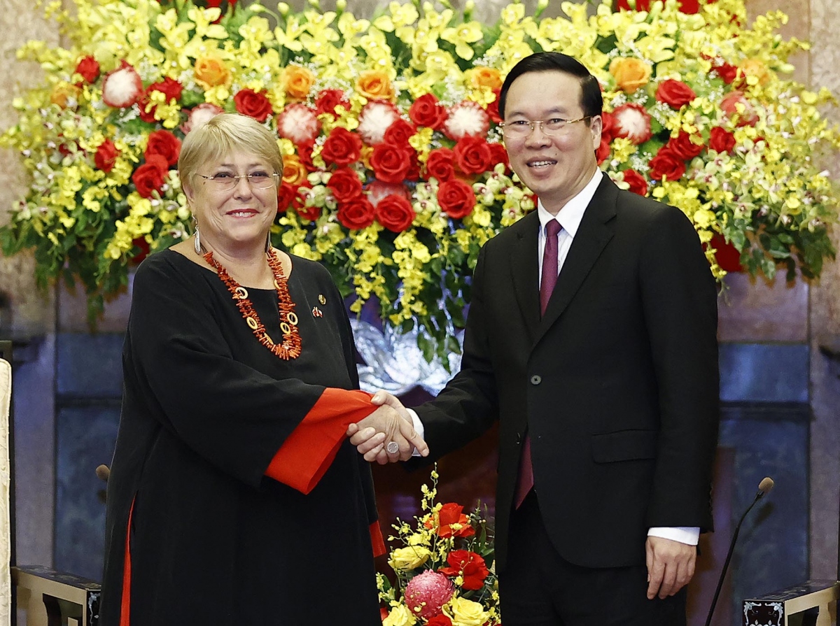 Le président Vo Van Thuong reçoit l ancienne présidente du Chili