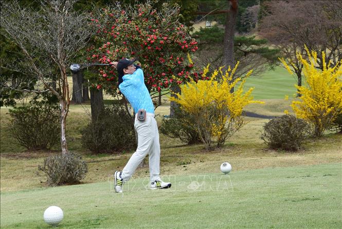 Plus de 50 golfeurs vietnamiens participent au Championnat Sakura 2023 au Japon