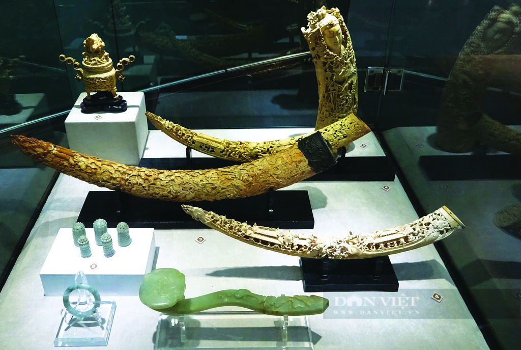 Artefacts extrêmement rares au Musée de Hanoï
​ 
Artefacts extrêmement rares au Musée de Hanoï
​