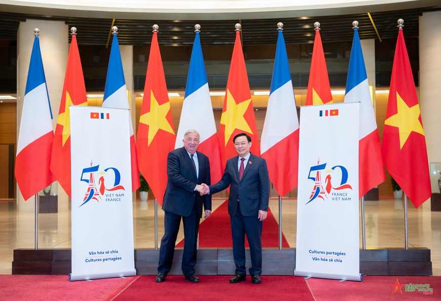 Vietnam-France un demi-siècle à cultiver l amitié