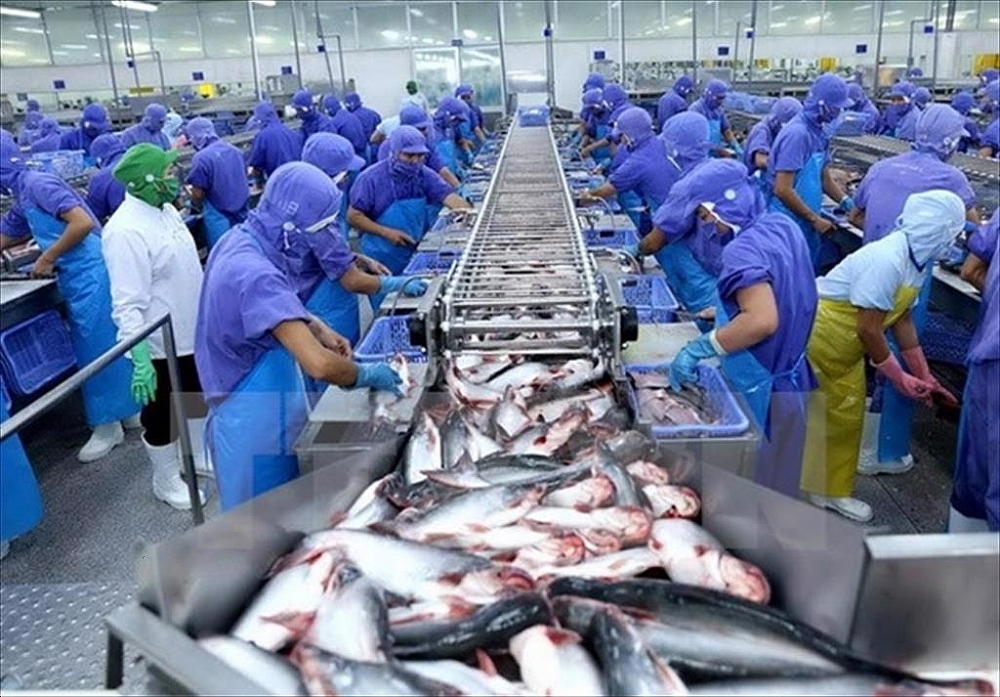 Après 4 ans de mise en œuvre du CPTPP, les exportations de produits aquatiques vers l Australie se classent au 6e rang