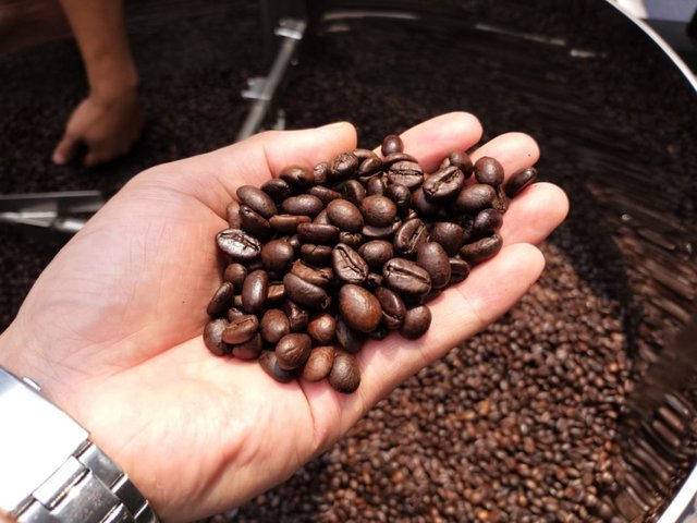 Plus d un milliard de dollars d’exportations de café au premier trimestre