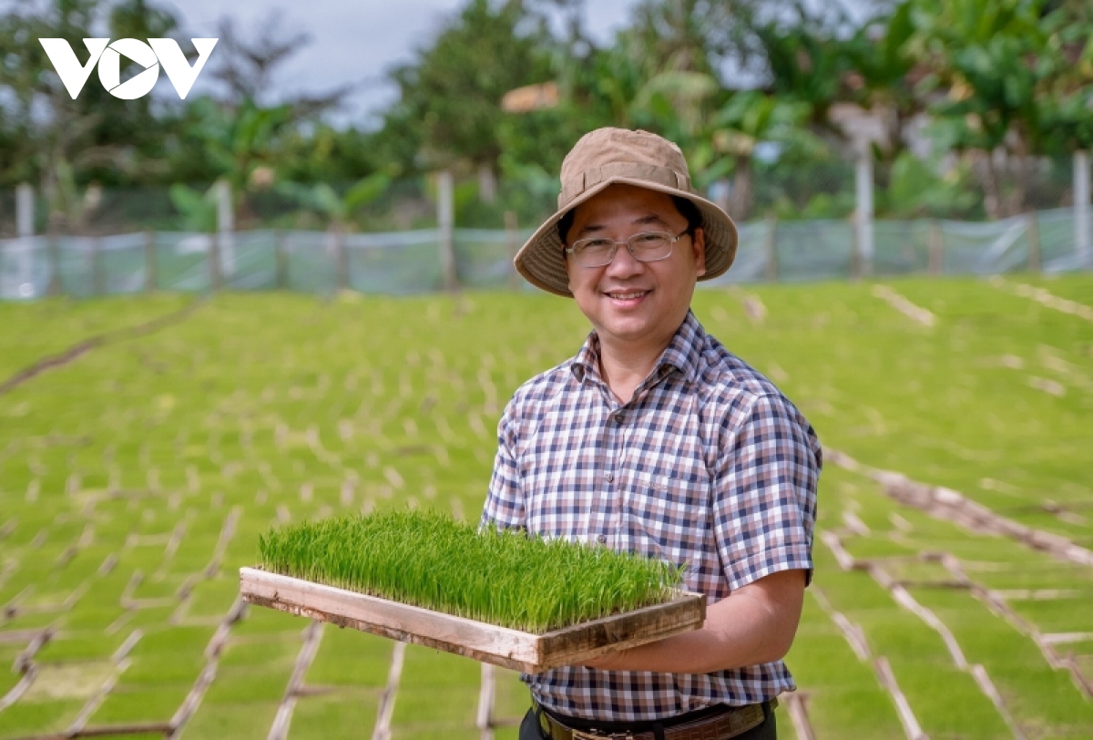 Le riz bio Quang Tri s exporte vers le marché européen