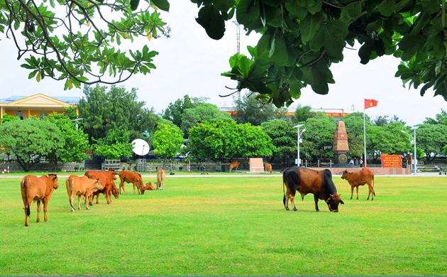76 milliards de dongs pour un «Truong Sa vert»