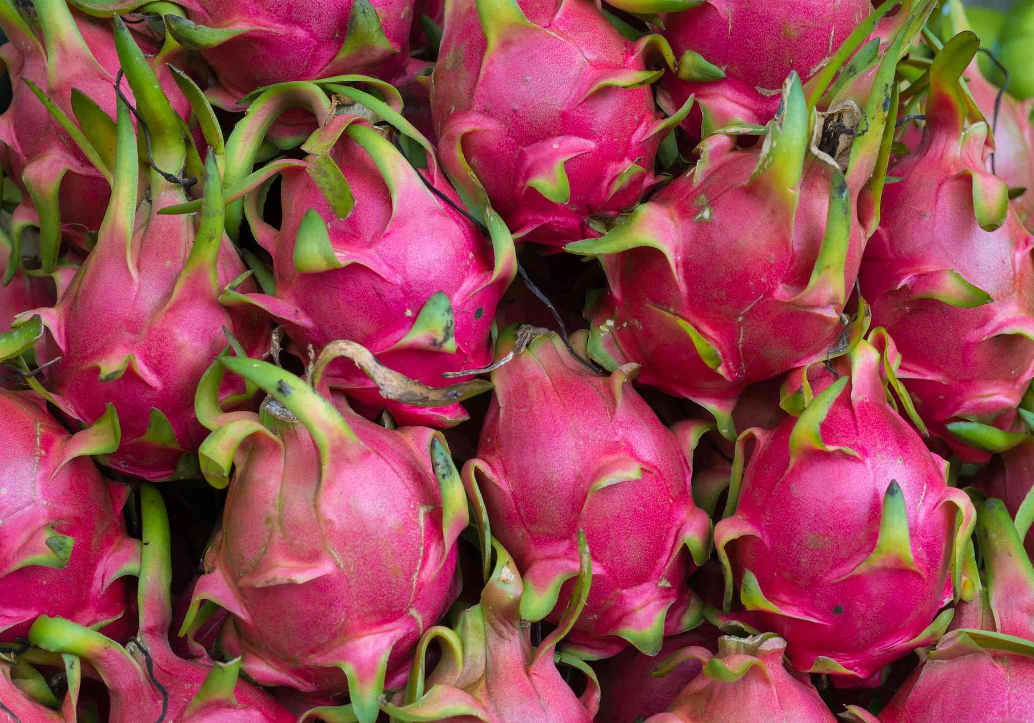Belles perspectives pour les exportations de fruits et légumes au 2e trimestre