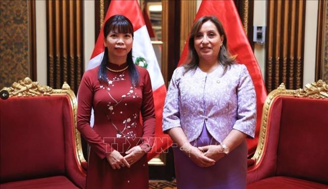 La présidente péruvienne apprécie la relation de coopération entre le Vietnam et le Pérou