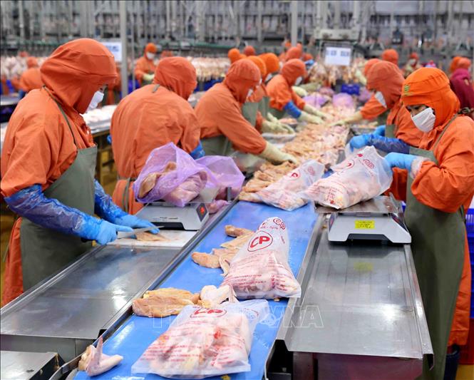 Les exportations de viande de volaille montrent des signes de reprise
