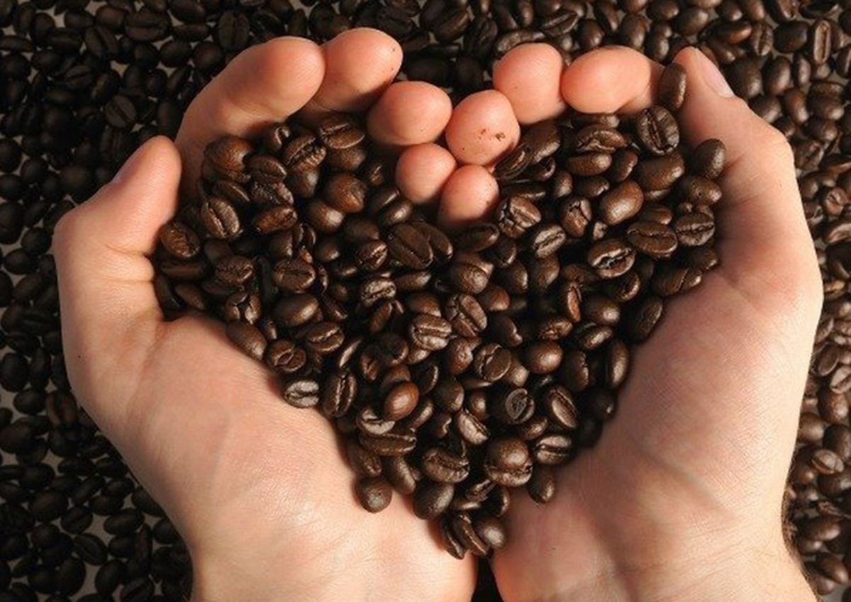 Pour que le café vietnamien s’affirme sur le marché mondial