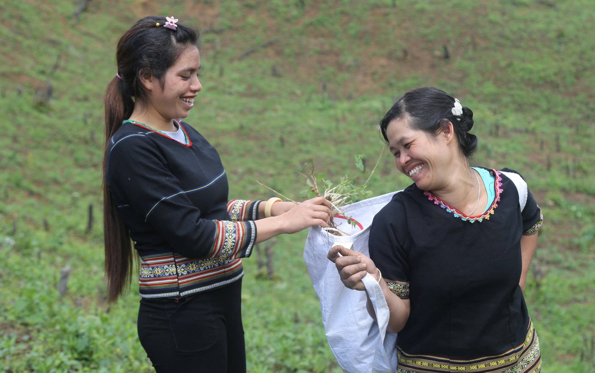 Des moyens de subsistances durables pour les femmes ethniques