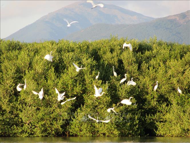 Une série d’activités pour sensibiliser aux questions liées à la biodiversité