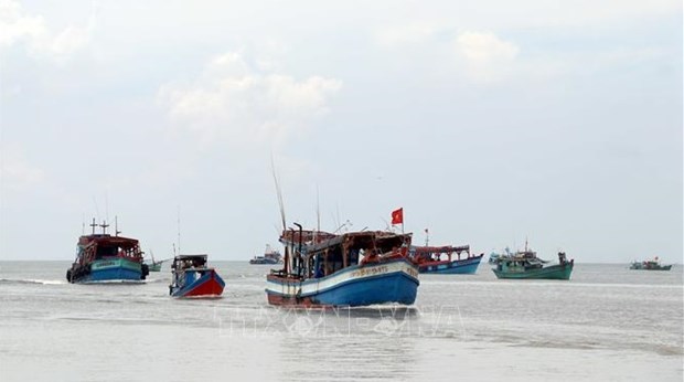 Ca Mau contribue aux efforts communs contre la pêche INN