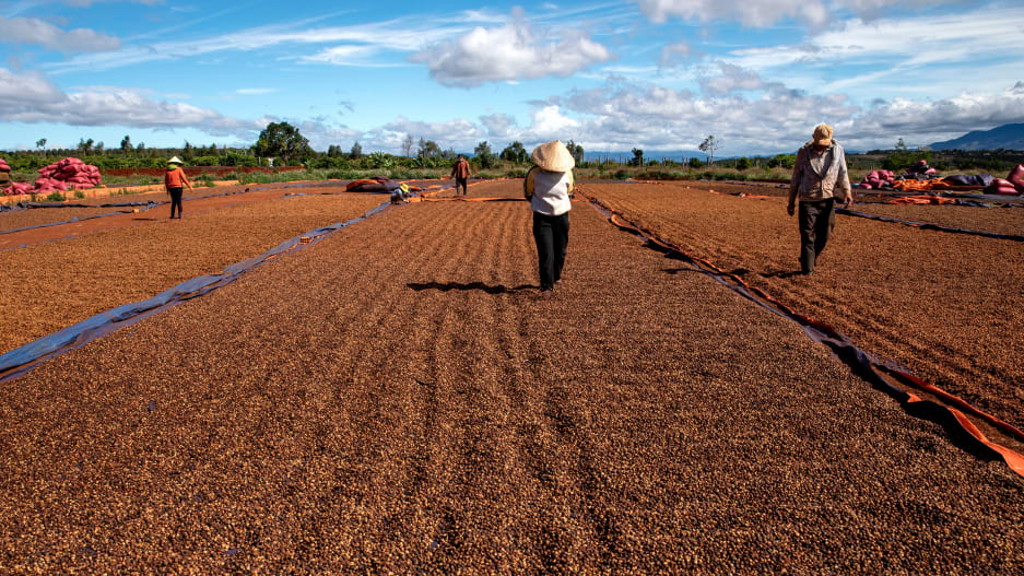 Pourquoi le Vietnam est-il sur le point de devenir le fer de lance de la grande révolution du café biologique