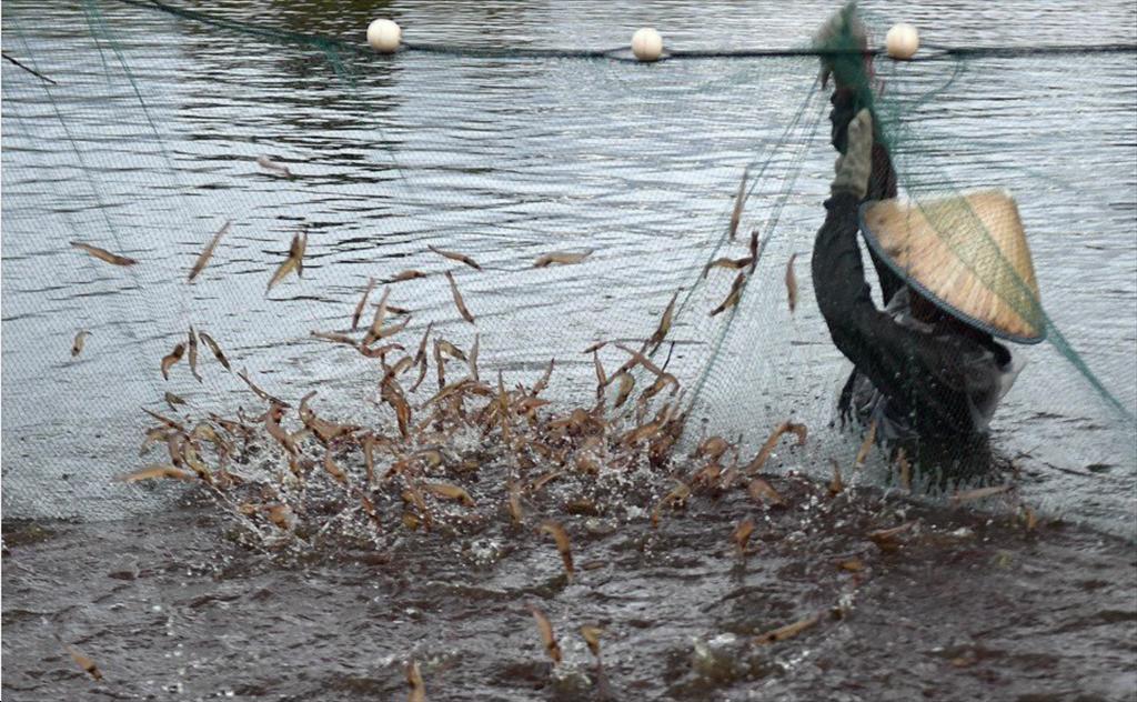 2050 Le Vietnam perdra jusqu à 8 de son PIB à cause du changement climatique