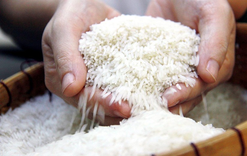 Les exportations de riz vers l UE dépassent le quota de l EVFTA