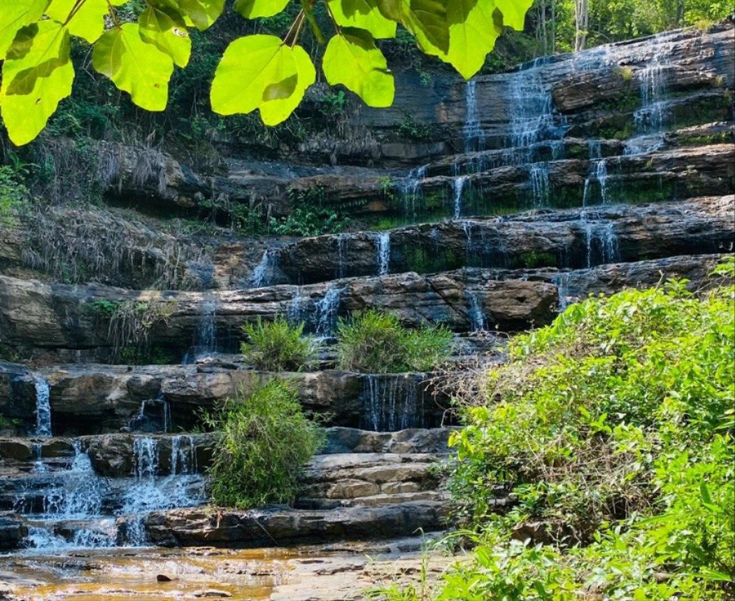 Le Vietnam est l un des pays avec la plus grande biodiversité dans le monde