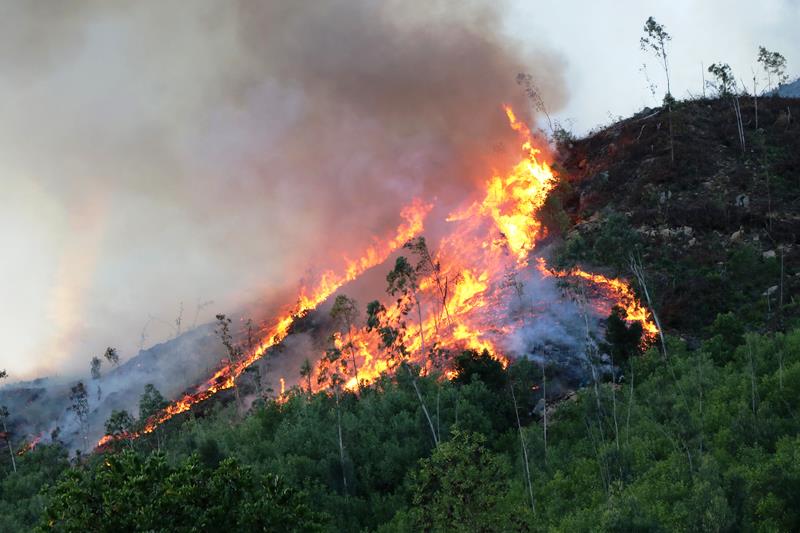 Dépêche officielle sur le renforcement des mesures d urgence contre les incendies de forêt