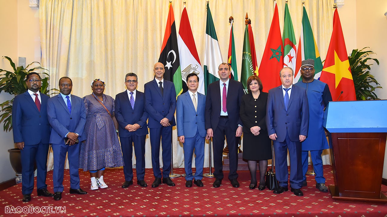 Célébration de la Journée mondiale de l’Afrique à Hanoï