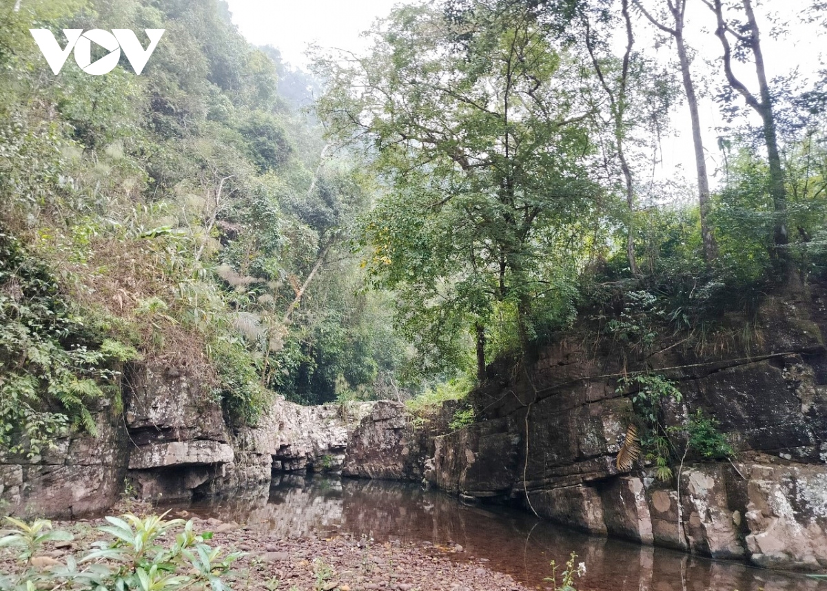 Comment les Dao de Nà Hac protègent-ils leur forêt