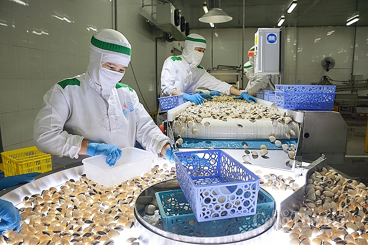5 mois le déficit commercial du Vietnam avec de nombreux grands marchés en forte chute