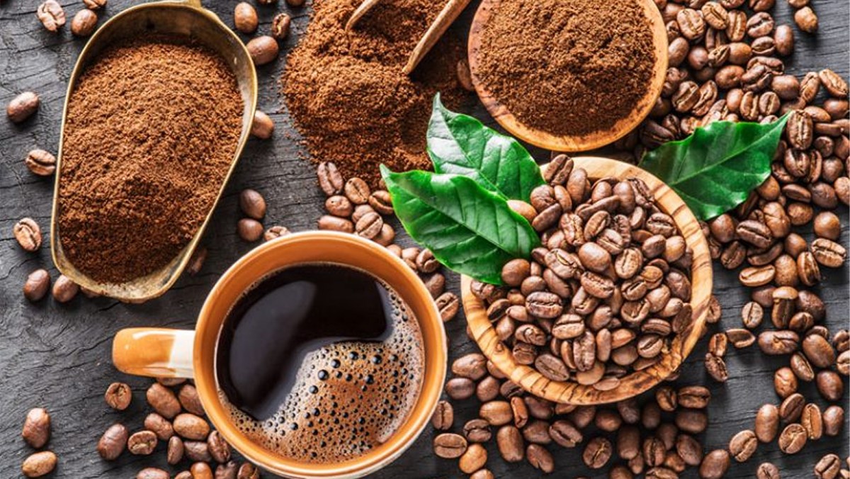 Les exportations nationales de café établissent un nouveau record entre janvier et mai
