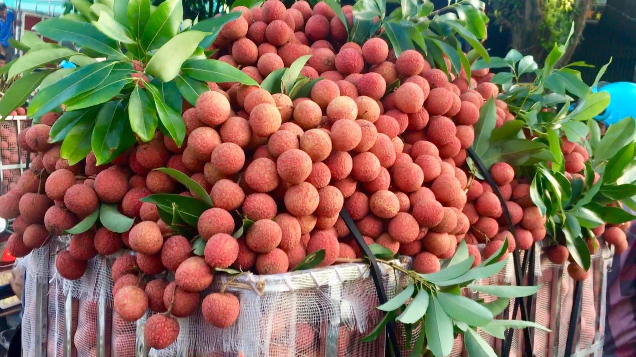 Le litchi vietnamien et le longane espèrent une plus grande part de marché à Singapour