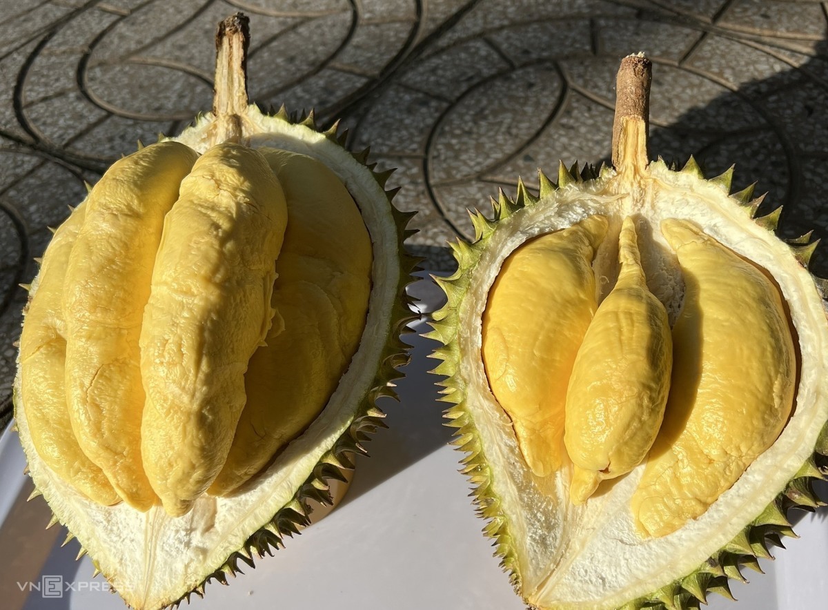 Les exportations de durian depuis janvier multipliées par près de 6 en rythme annuel