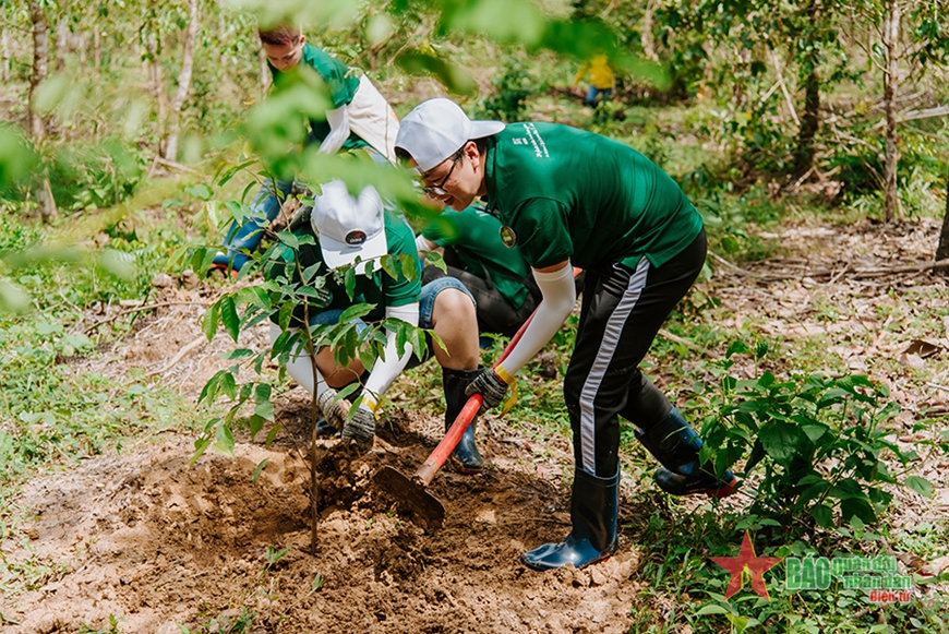 Le Vietnam compte 85 600 hectares de forêt plantées en 5 mois