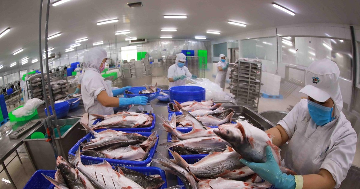 Le Brésil, premier partenaire commercial du Vietnam en Amérique latine