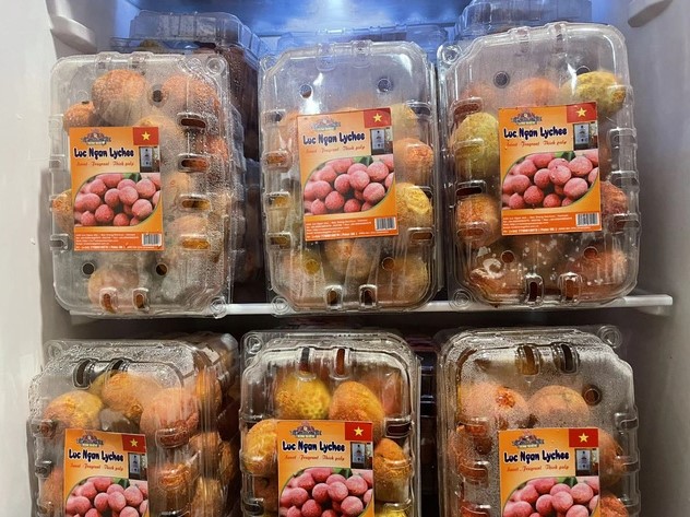 Le premier lot de litchi vietnamien U hong expédié vers le Royaume-Uni