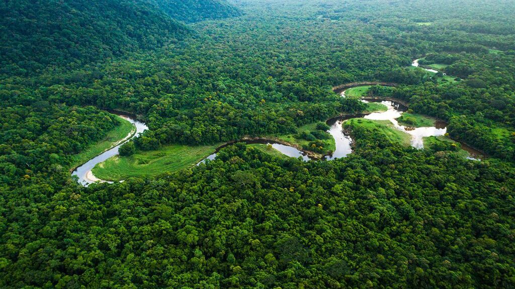 La déforestation en Amazonie en baisse de 31 lors des cinq premiers mois sous Lula