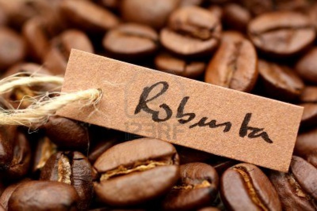 Le café vietnamien Robusta conquiert les ambassadeurs des pays nordiques au Vietnam