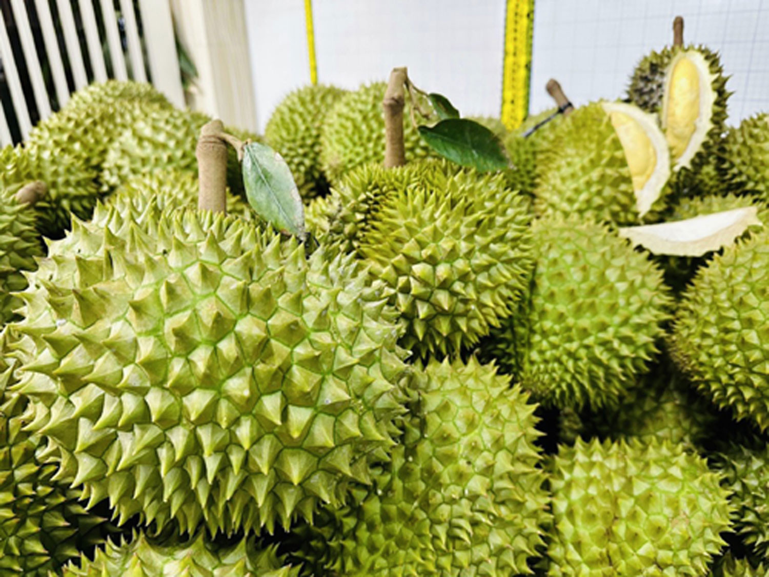 Les exportations de fruits et légumes, point lumineux du secteur agricole en 5 mois