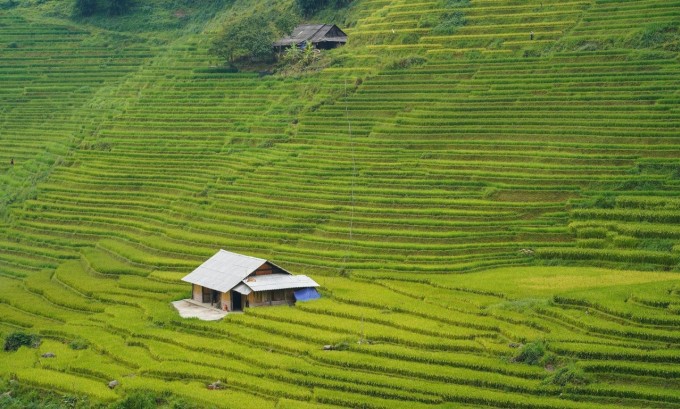 Un journal indien fait l éloge des rizières en terrasses de Sa Pa