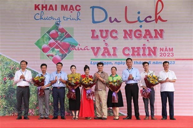 Bac Giang lance un programme de promotion du tourisme pendant la saison de récolte des litchis