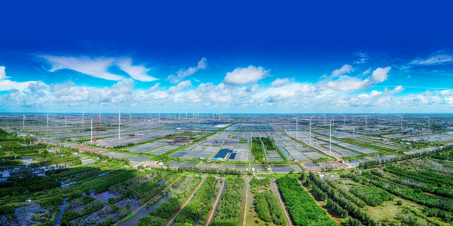 La production verte et circulaire contribue à promouvoir les produits agricoles vietnamiens