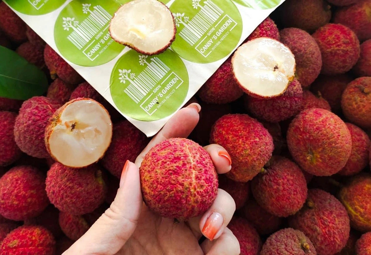 Le litchi vietnamien sans pépins est désormais disponible sur le marché britannique